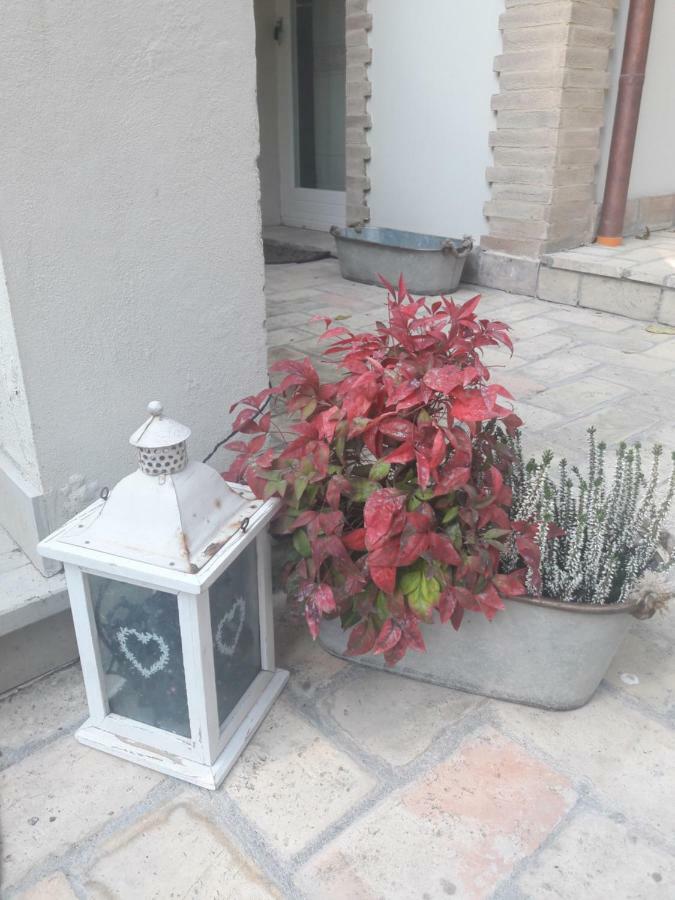 Villa Il Gatto E Il Violino Lido di Fermo Exterior foto